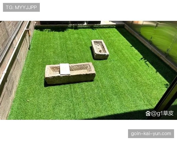 球场草皮病害早期预警系统部署指南，球场草皮颜色为什么不一样
